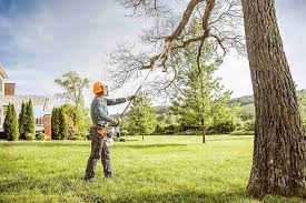 Best Lot and Land Clearing  in Oakley, UT