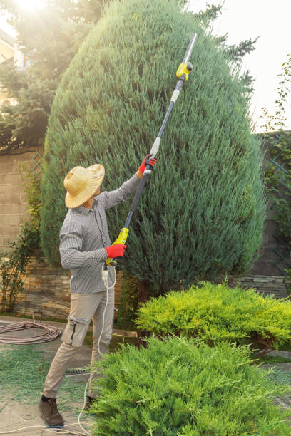 Best Storm Damage Tree Cleanup  in Oakley, UT